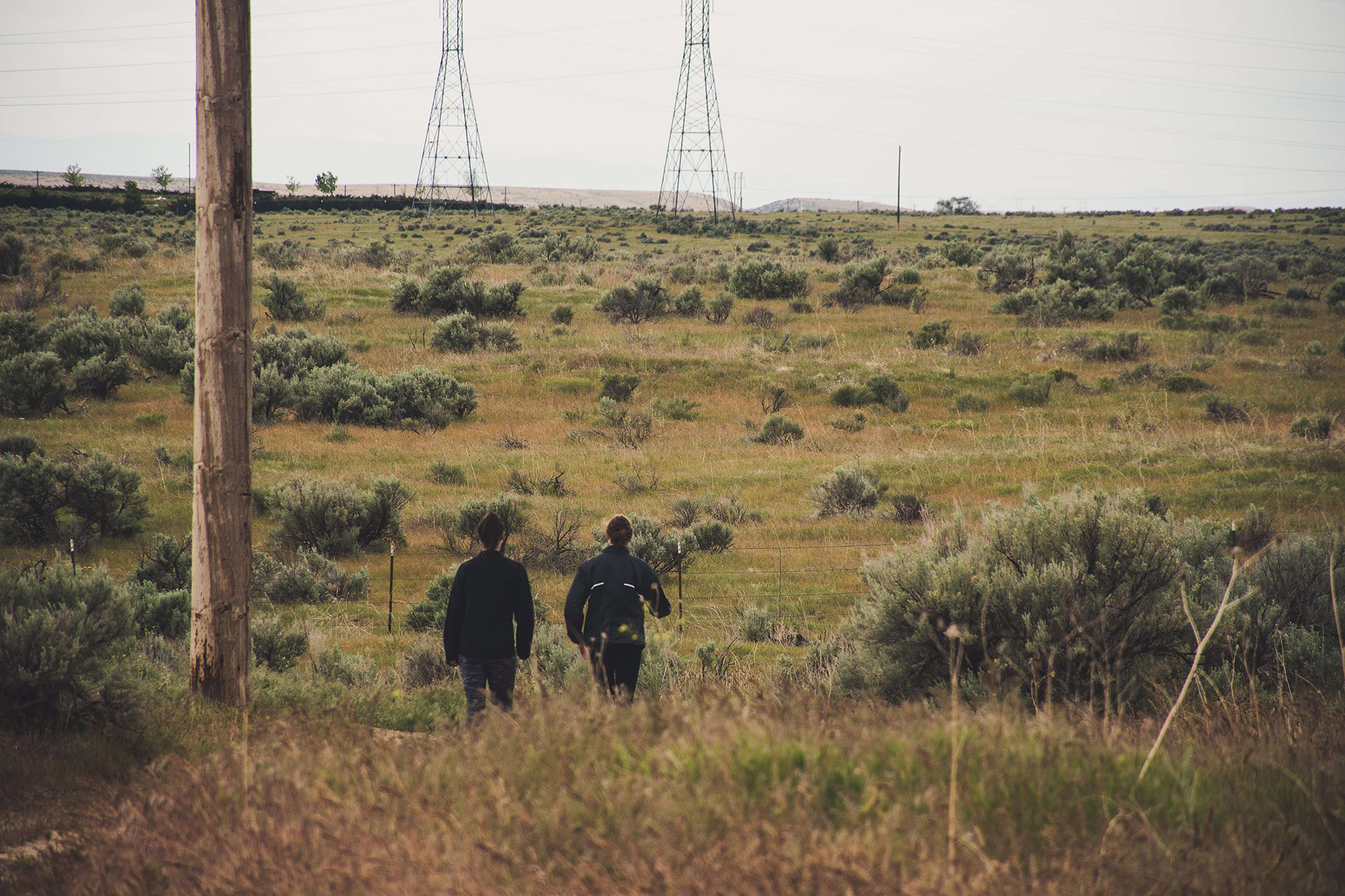 AI and Statistical Innovations for Palaeoecological Research