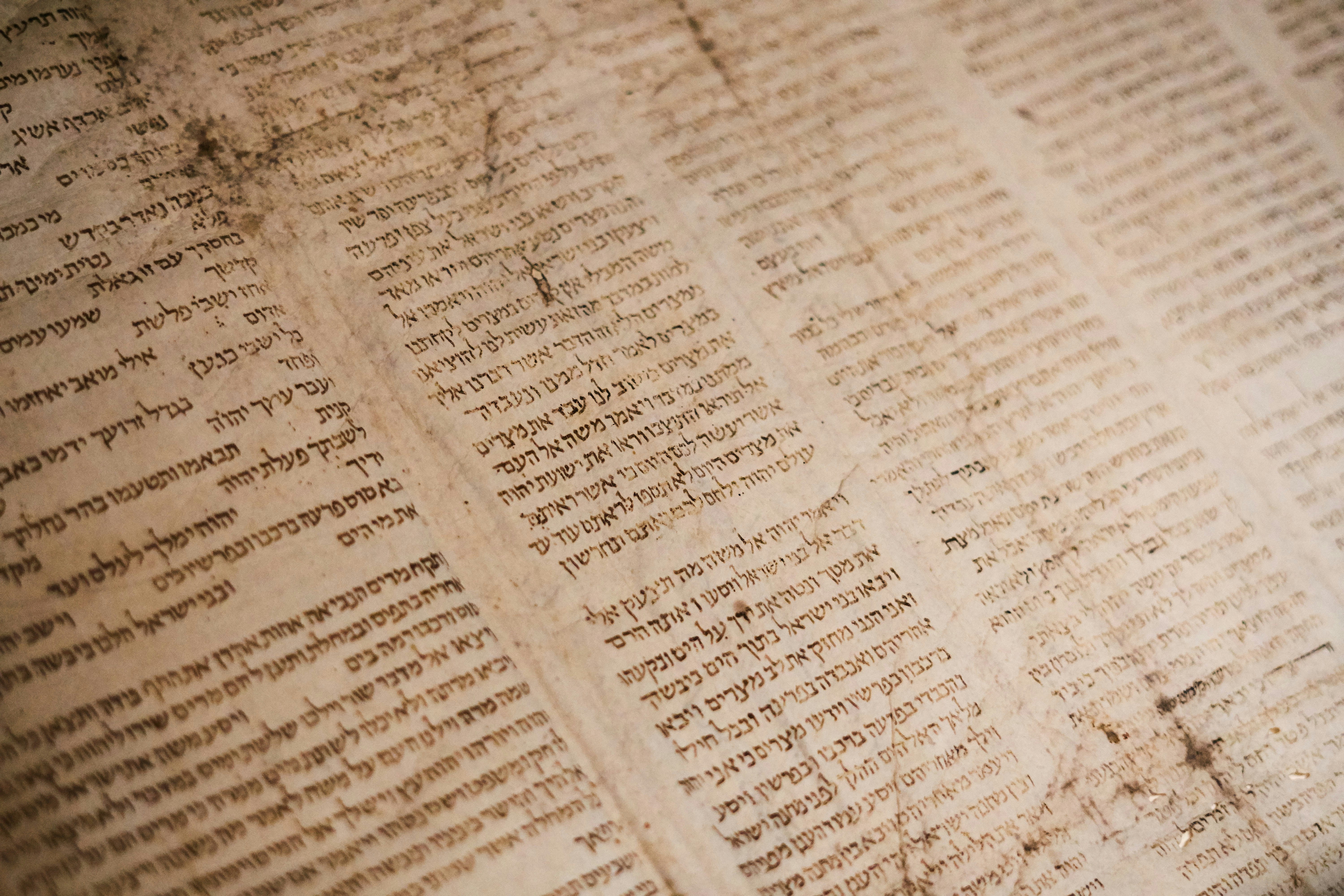 A collaborative platform to accelerate manuscript reconstruction 